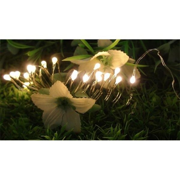 Perfect Holiday Perfect Holiday 600002 Battery Operated Copper 20 LED String Light - Warm White 600002
